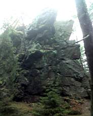 061210 Radyne796.jpg